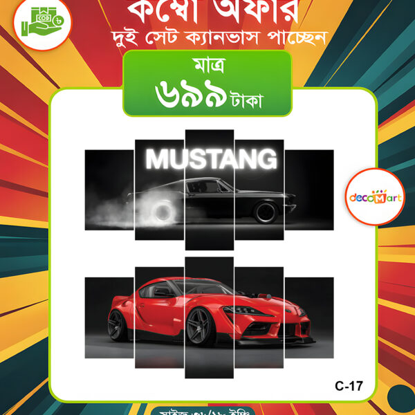 প্রিমিয়াম ওয়াটারপ্রুফ ক্যানভাস কম্বো সেট। C-17